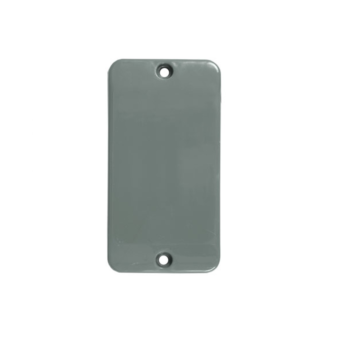 TAMPA CINZA CEGA 1 INPOL